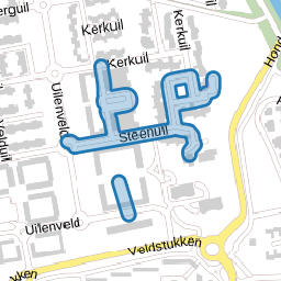 Steenuil