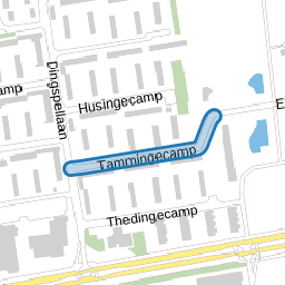 Tammingecamp