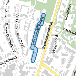Van Selbachstraat