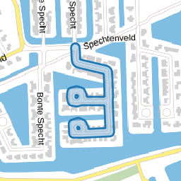 Witrugspecht