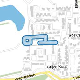 Zwarte Kraai