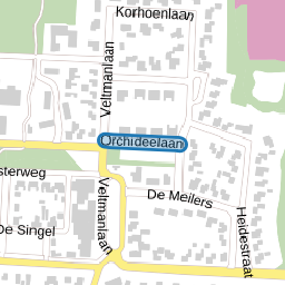 Orchideelaan