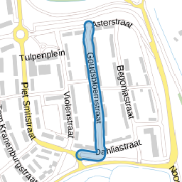 Goudsbloemstraat