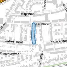 Anjelierstraat