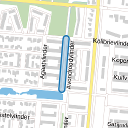 Atlasvlinder