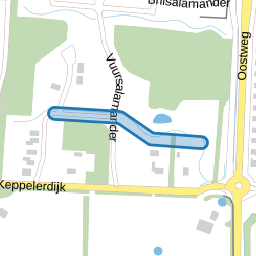 Bandsalamander