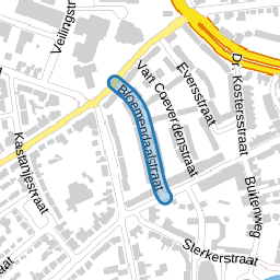 Bloemendaalstraat
