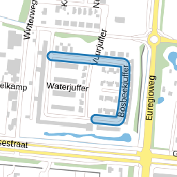 Bosbeekjuffer