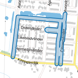 Citroenvlinder