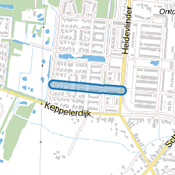 Eikebladvlinder