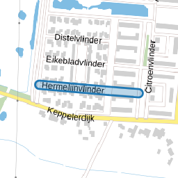 Hermelijnvlinder