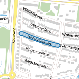 Hoornbladlaan