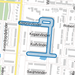 Kolibrievlinder