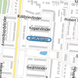 Kuifvlinder