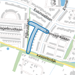 Lisdoddelaan