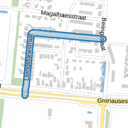 Livingstonestraat