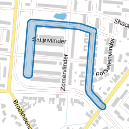Parelmoervlinder