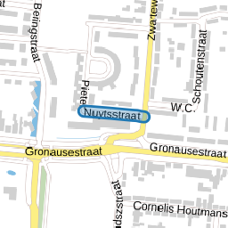 Pieter Nuytsstraat