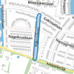 Pijlkruidlaan