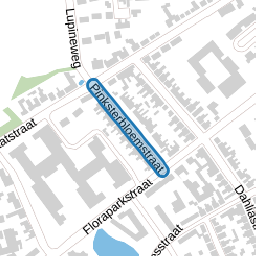 Pinksterbloemstraat