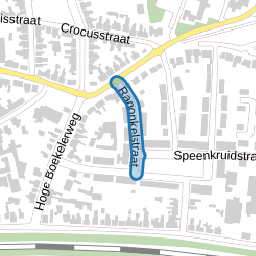 Ranonkelstraat