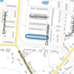 Vogelvlinder