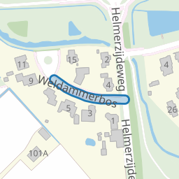 Weldammerbos