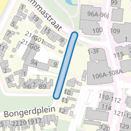 van Zelmstraat