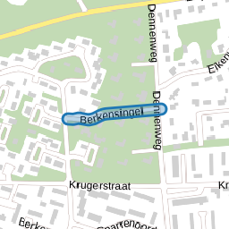 Berkensingel