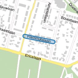 Flammulalaan