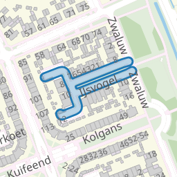 IJsvogel