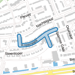 Koperwiek