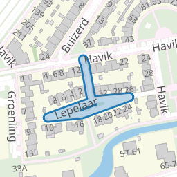 Lepelaar