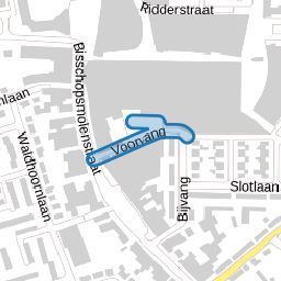 Voorvang