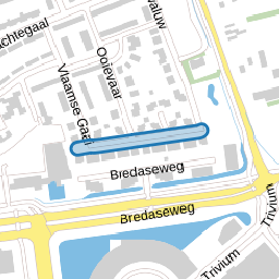 Zwaan