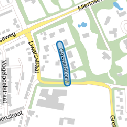 Gaspeldoorn