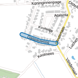 Dagpauwoog