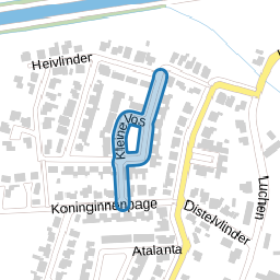 Kleine Vos
