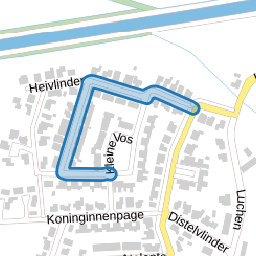 Kleine Vuurvlinder