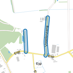 Vogelenzang