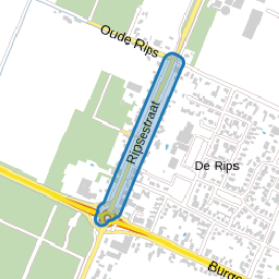 Ripsestraat