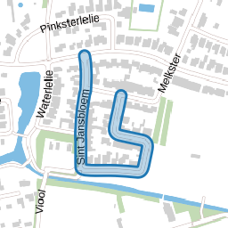 Sint Jansbloem