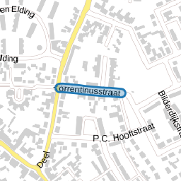 Torrentinusstraat