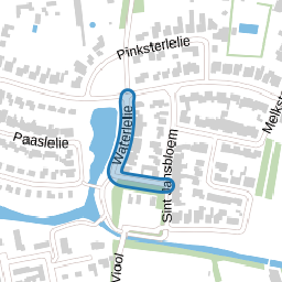 Waterlelie