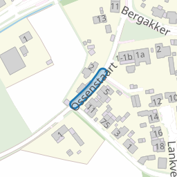 Ossenstaart
