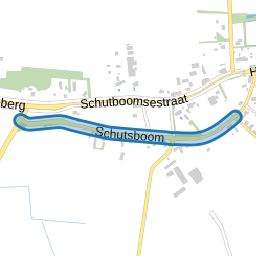 Schutsboom