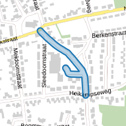Lijsterbesstraat