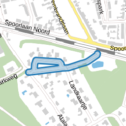 Dagpauwoog