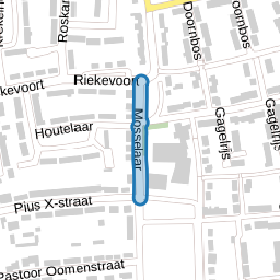 Mosselaar