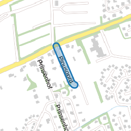 Pinusoord